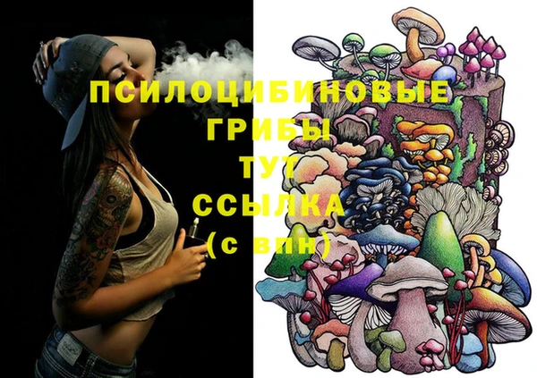 дмт Белоозёрский