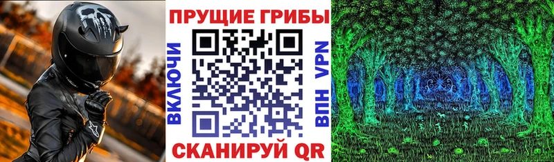 Галлюциногенные грибы Psilocybine cubensis  Муром 